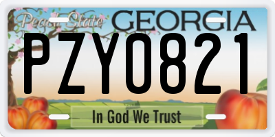 GA license plate PZY0821