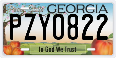 GA license plate PZY0822