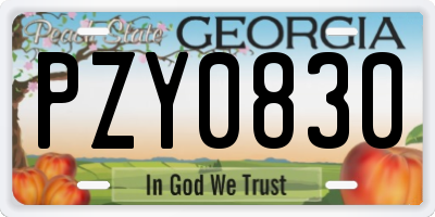 GA license plate PZY0830