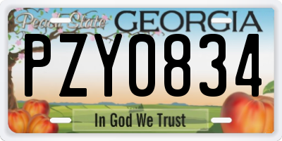 GA license plate PZY0834