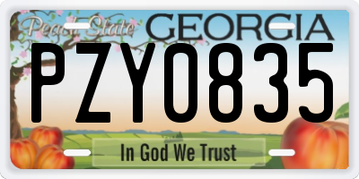 GA license plate PZY0835