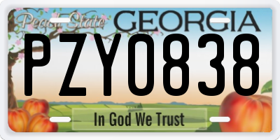 GA license plate PZY0838