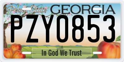 GA license plate PZY0853