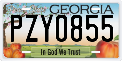 GA license plate PZY0855