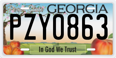 GA license plate PZY0863