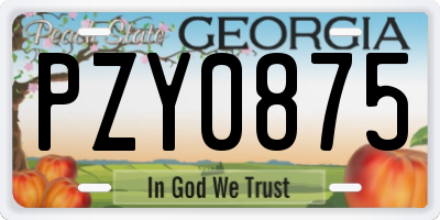 GA license plate PZY0875