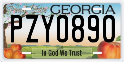 GA license plate PZY0890