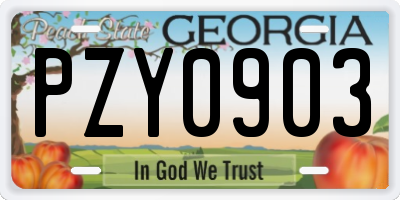 GA license plate PZY0903
