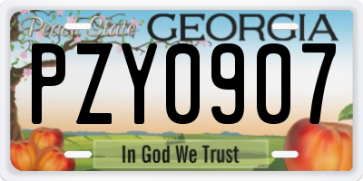 GA license plate PZY0907