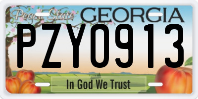 GA license plate PZY0913