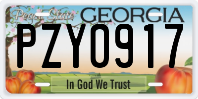 GA license plate PZY0917