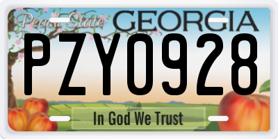 GA license plate PZY0928