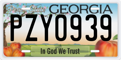 GA license plate PZY0939