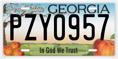 GA license plate PZY0957