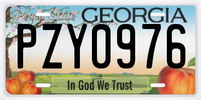 GA license plate PZY0976
