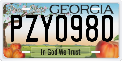 GA license plate PZY0980