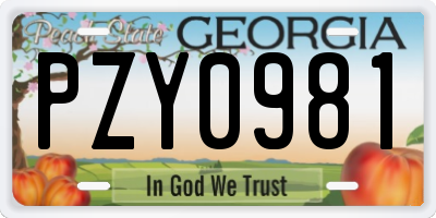 GA license plate PZY0981