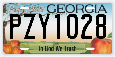 GA license plate PZY1028