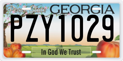 GA license plate PZY1029