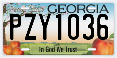 GA license plate PZY1036