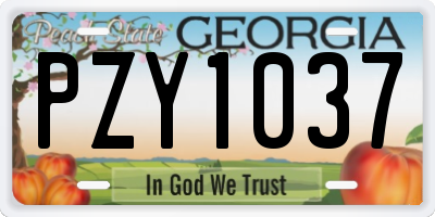 GA license plate PZY1037