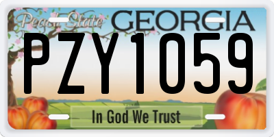 GA license plate PZY1059