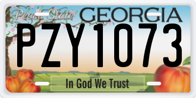 GA license plate PZY1073