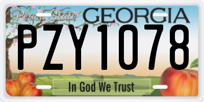 GA license plate PZY1078