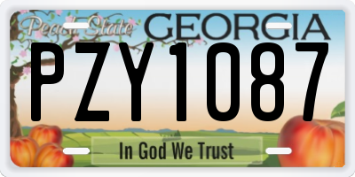 GA license plate PZY1087