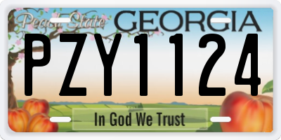 GA license plate PZY1124