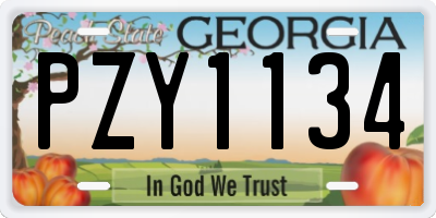 GA license plate PZY1134