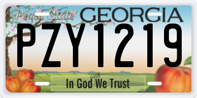 GA license plate PZY1219