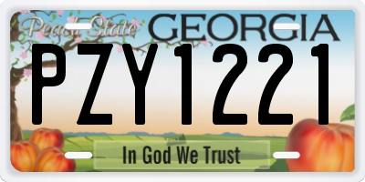 GA license plate PZY1221