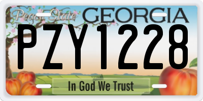 GA license plate PZY1228