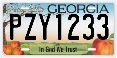 GA license plate PZY1233