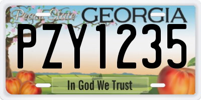 GA license plate PZY1235