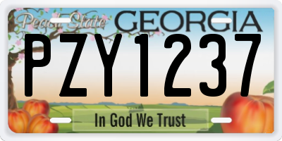 GA license plate PZY1237