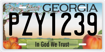 GA license plate PZY1239
