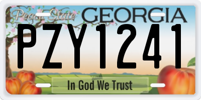 GA license plate PZY1241