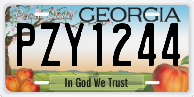 GA license plate PZY1244