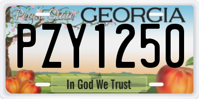 GA license plate PZY1250