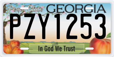 GA license plate PZY1253