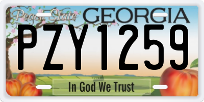 GA license plate PZY1259