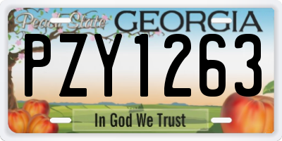 GA license plate PZY1263