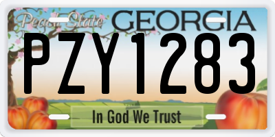 GA license plate PZY1283
