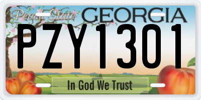 GA license plate PZY1301