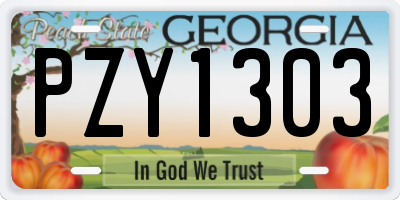 GA license plate PZY1303