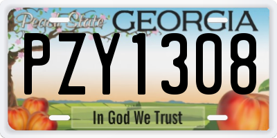 GA license plate PZY1308