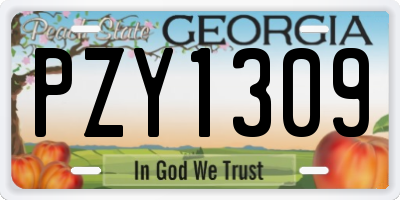 GA license plate PZY1309