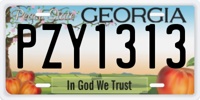 GA license plate PZY1313